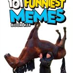 101 FUNNIEST MEMES: 1st Edition, English, Kindle eBook-0