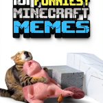 Minecraft Funniest Memes 1st Edition Kindle Book-0